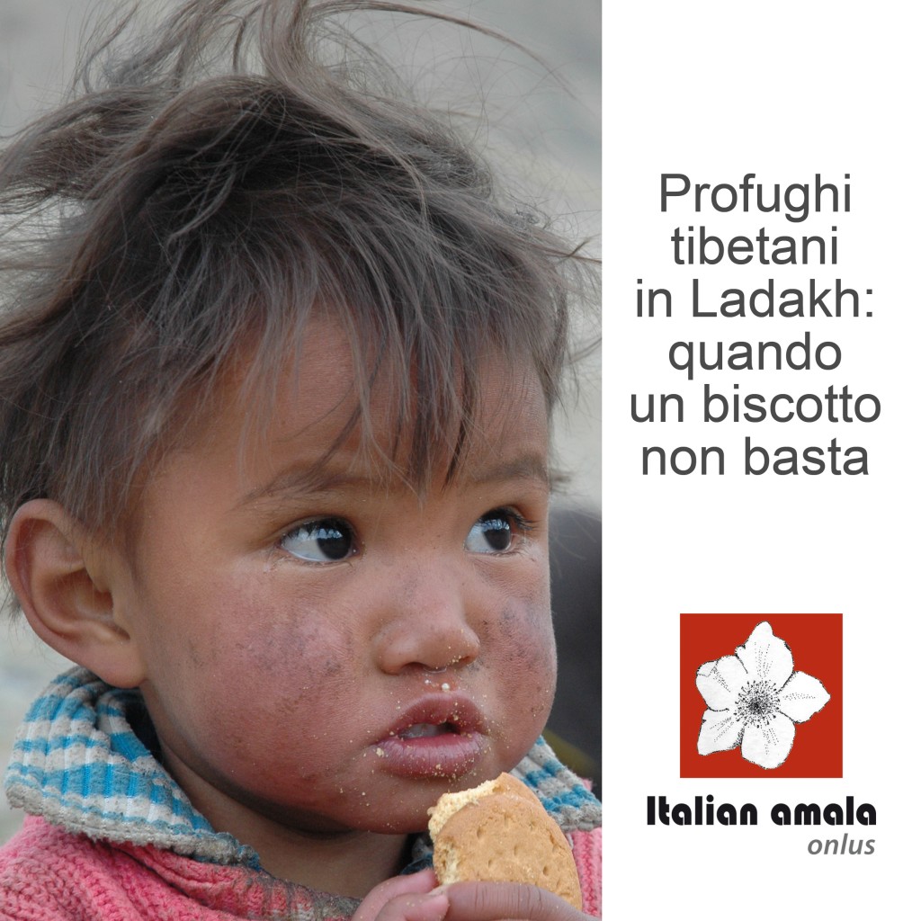 copertina brochure Italian Amala Onlus