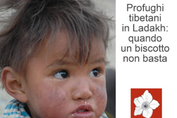 copertina brochure Italian Amala Onlus